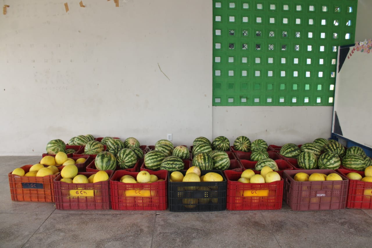 PAA distribui mais de 15 toneladas de produtos da agricultura familiar para  equipamentos socioassistenciais