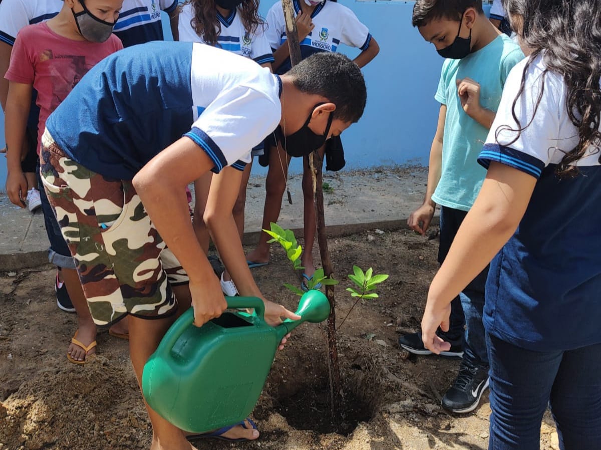 "Mossoró Verde” realiza plantio em escola da rede municipal de ensino