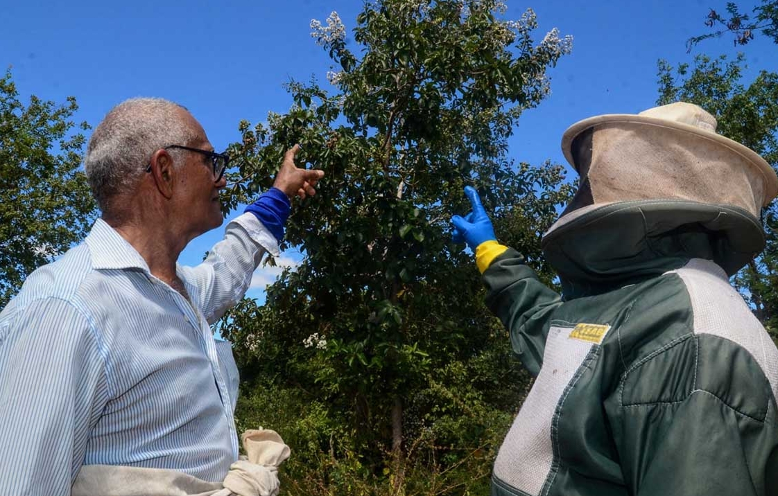 “Papo Rural” abordará temática da apicultura com produtores do Polo Maísa