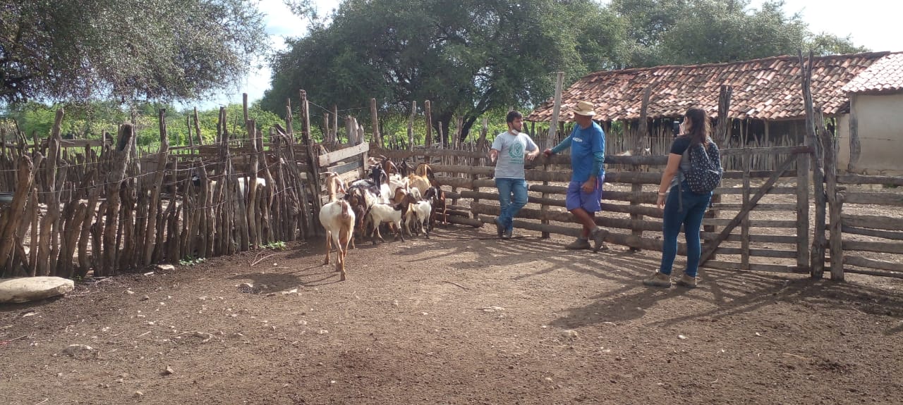 Projeto "Papo Rural" visita produtores das comunidades Paulo Freire e Espinheirinho