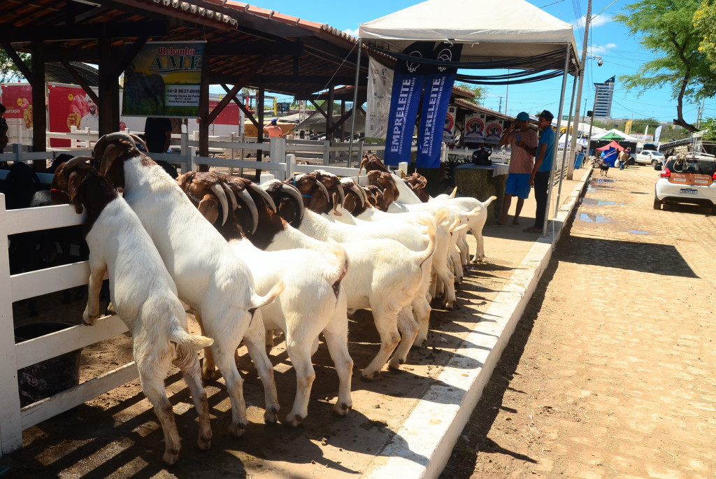 Foto: Wilson Moreno (Secom/PMM)