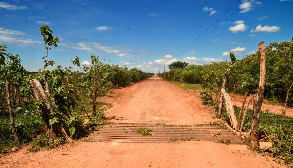 Foto: Wilson Moreno (Secom/PMM/Arquivo)