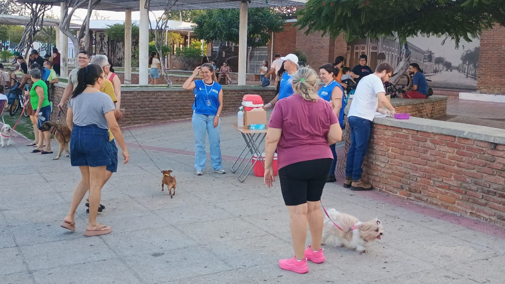 Foto: Walmir Alves (Secom/PMM)