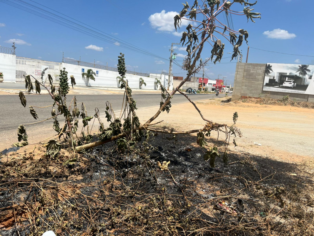 Foto: Divulgação/PMM