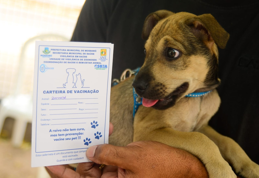 Foto: Wilson Moreno (Secom/PMM)