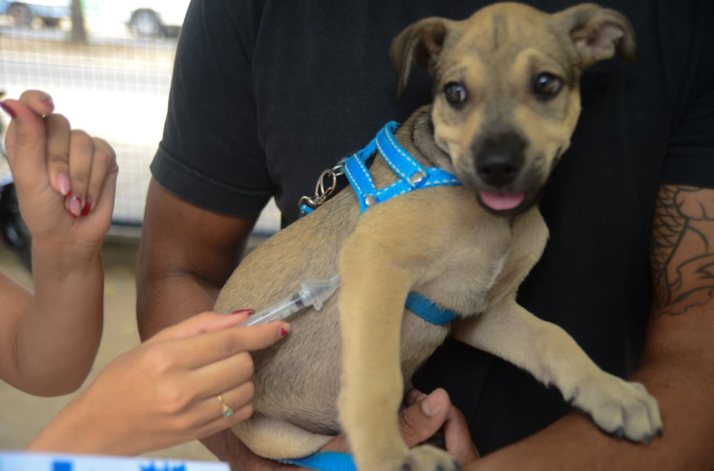 Foto: Wilson Moreno (Secom/PMM)