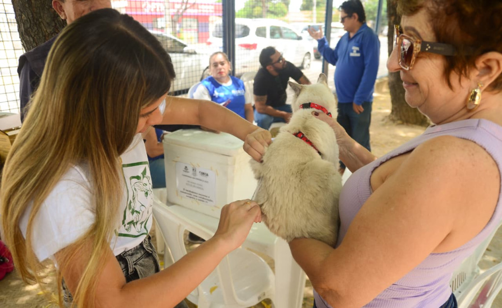 Foto: Wilson Moreno (Secom/PMM)