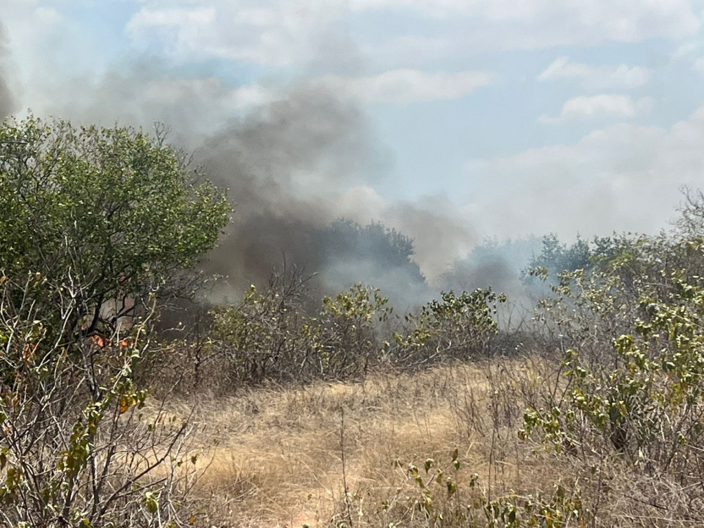 Foto: Divulgação/PMM