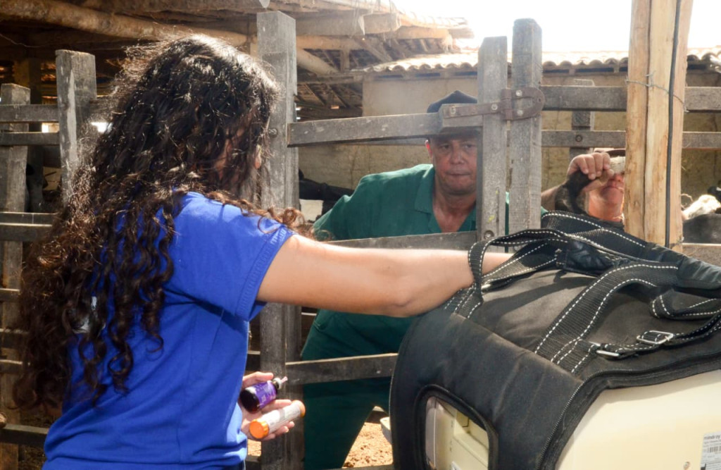 Wilson Moreno (SECOM/PMM)