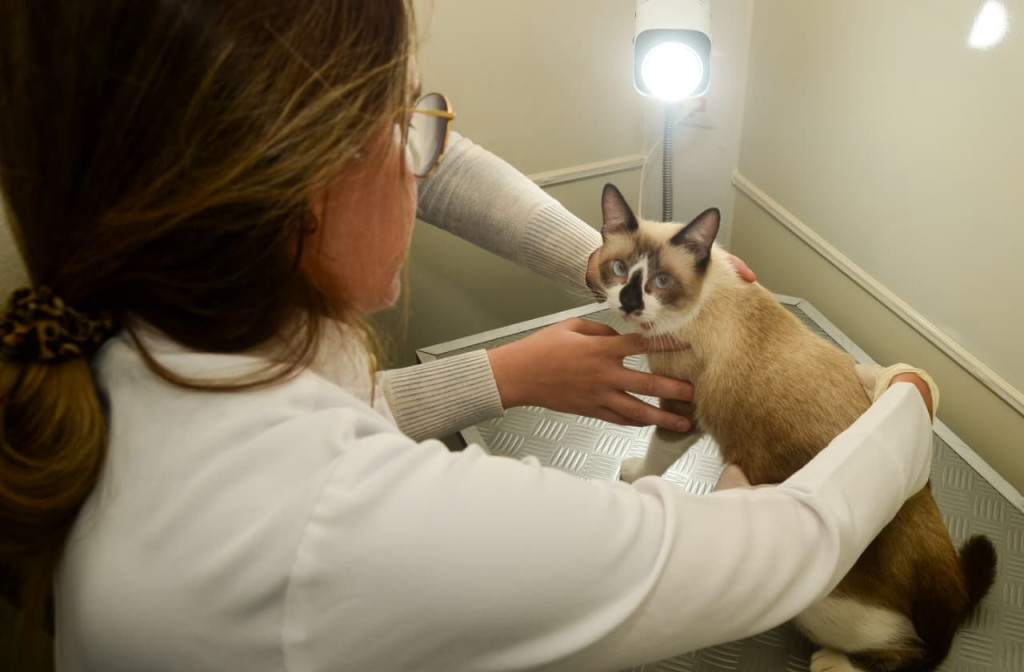 Foto: Wilson Moreno (Secom/PMM)