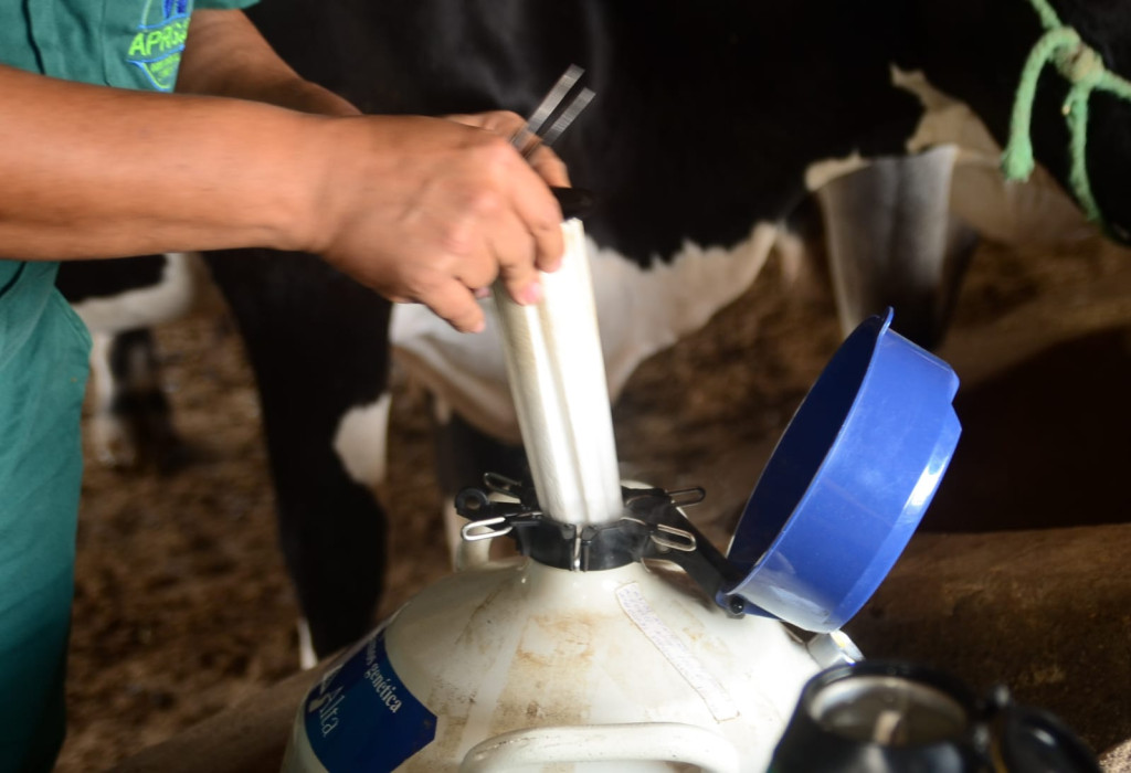 Wilson Moreno (SECOM/PMM/Arquivo)