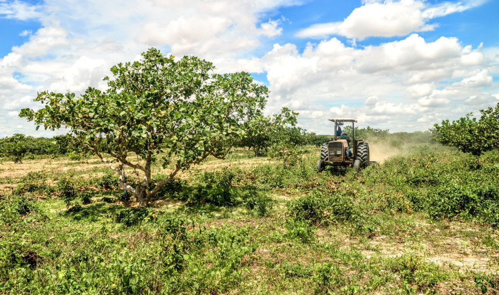 Wilson Moreno (SECOM/PMM/Arquivo)