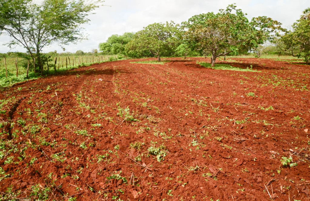 Wilson Moreno (SECOM/PMM)