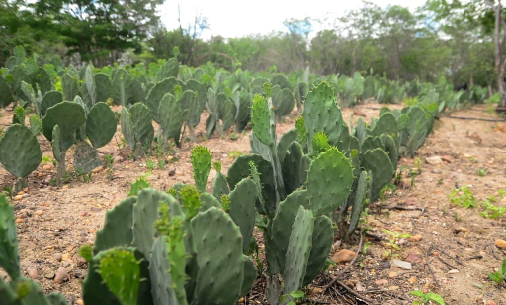 Wilson Moreno (SECOM/PMM)