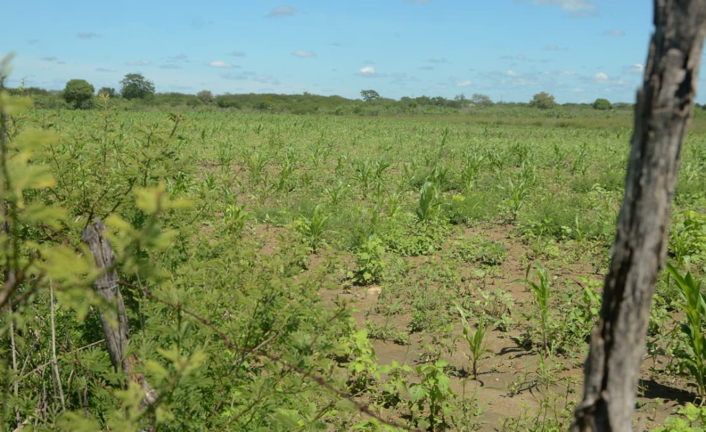 Wilson Moreno (SECOM/PMM/Arquivo)