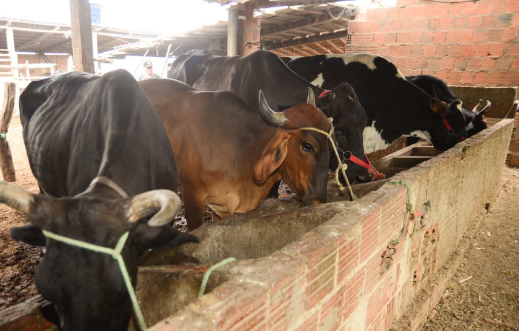 Wilson Moreno (SECOM/PMM)