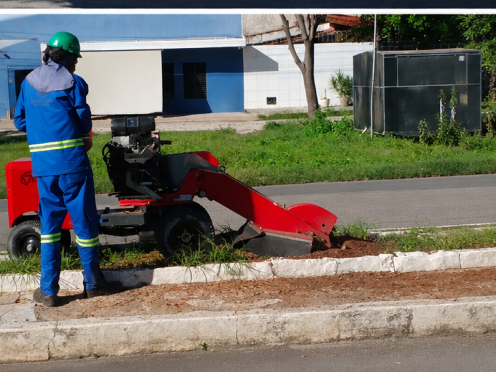SECOM/PMM