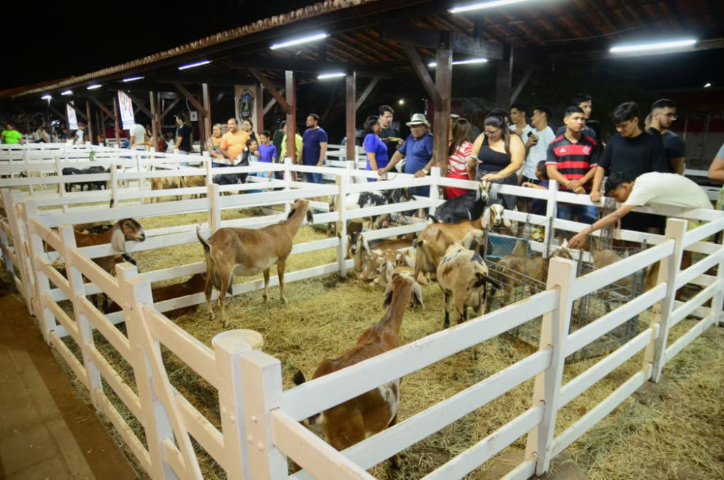 Divulgação/PMM