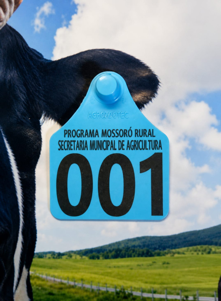 Divulgação/PMM