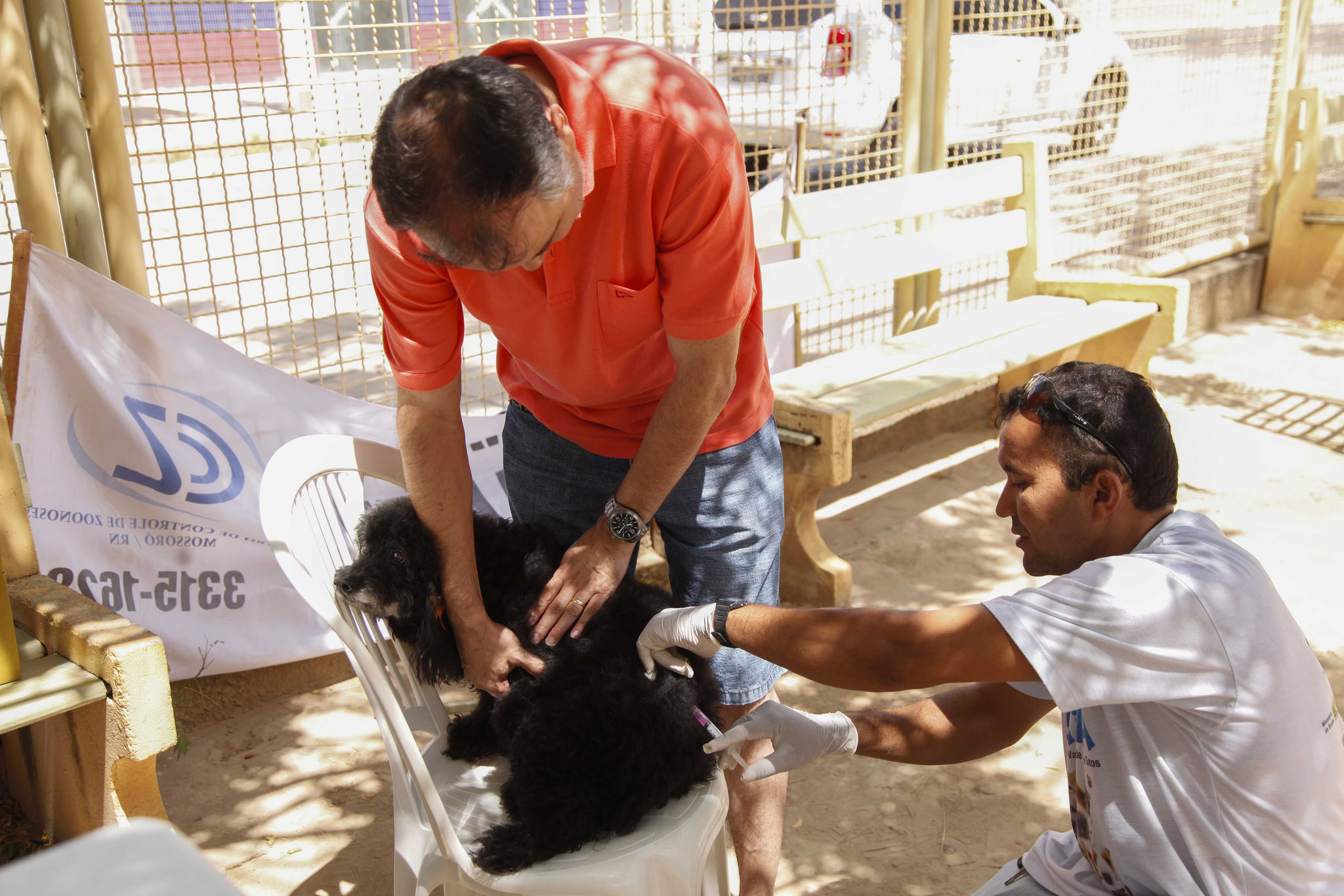 Campanha de vacinação contra raiva para cães e gatos começa em Mossoró