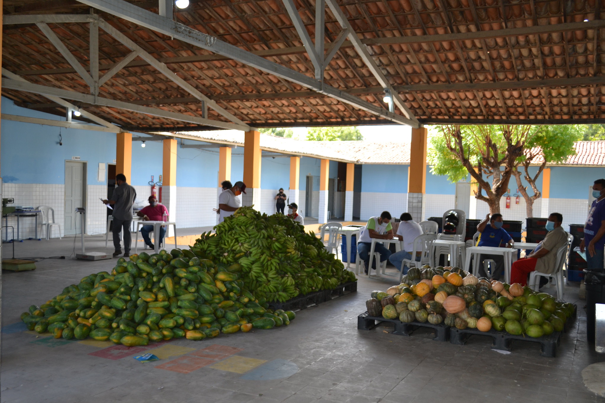 Programa Compra Direta recebe dez toneladas de alimentos de produtores rurais
